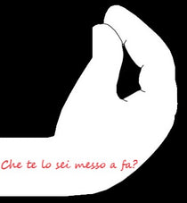 Che te lo sei messo a fa?